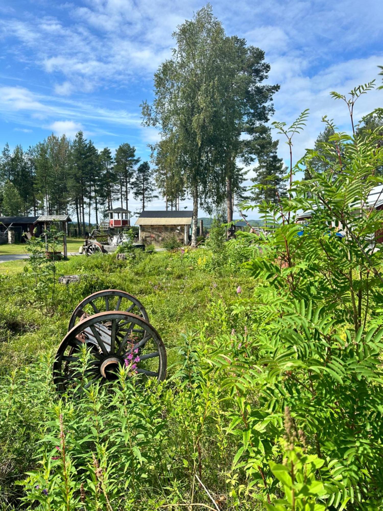 Backens Gaesthem Hostel Sorsele Kültér fotó